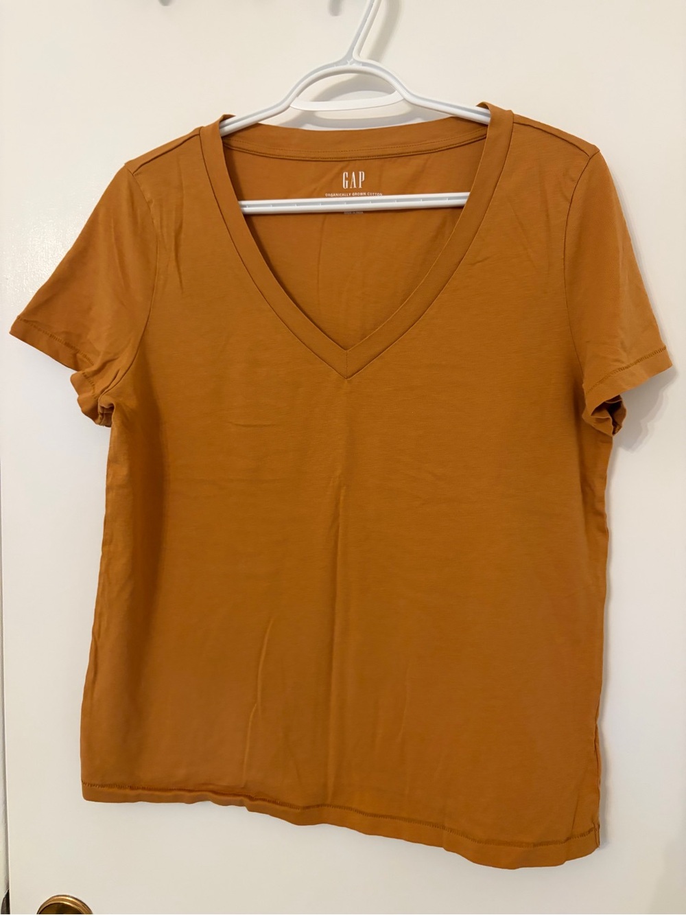 GAP Women's V-Neck Short Sleeve Tee in Burnt Orange